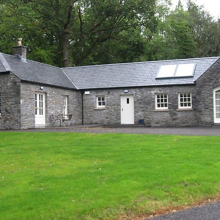 Castle View Cottage Irvinestown Rum bild